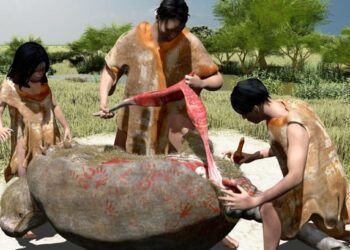 Giant armadillo fossil reveals early human presence in Argentina 21,000 years ago