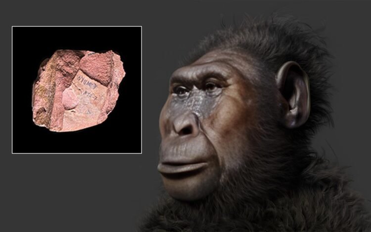 Ancient human relatives transported stones 2.6 million years ago, rewriting human history