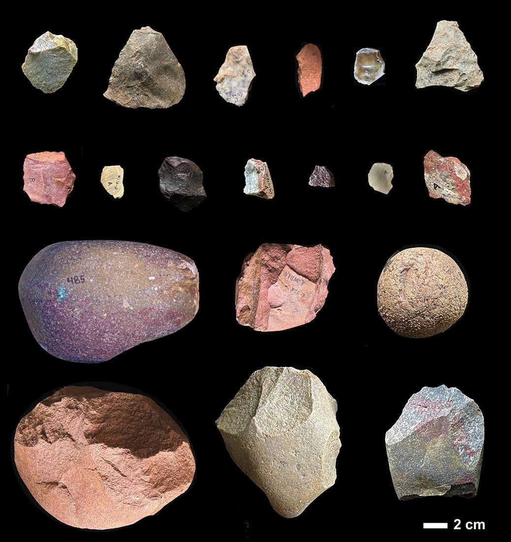 Ancient human relatives transported stones 2.6 million years ago, rewriting human history
