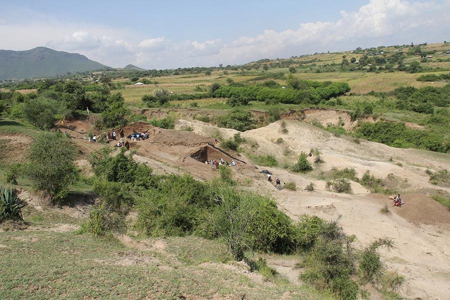 Ancient human relatives transported stones 2.6 million years ago, rewriting human history