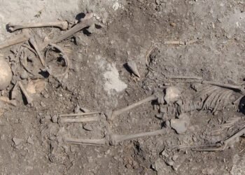 DNA reveals extended hunter-gatherer family ties in 5,500-year-old Stone Age graves on Gotland