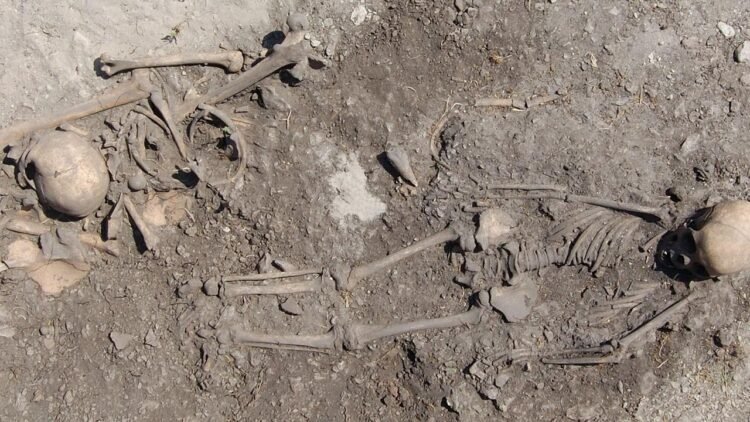 DNA reveals extended hunter-gatherer family ties in 5,500-year-old Stone Age graves on Gotland