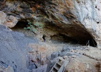 Prehistoric hunter-gatherers had predominantly plant-based diet