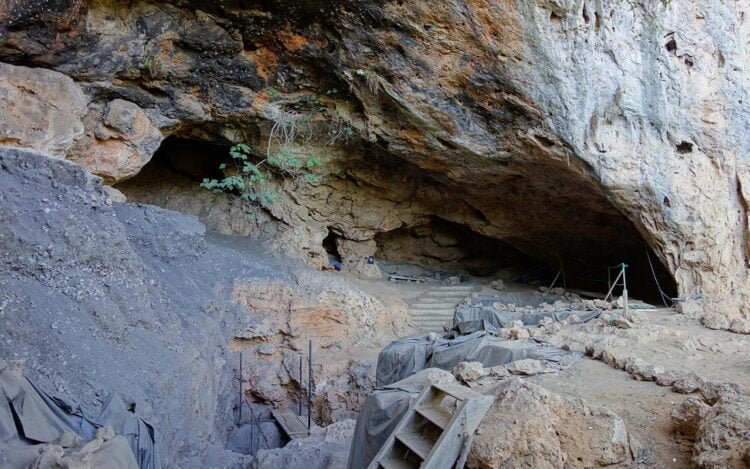 Prehistoric hunter-gatherers had predominantly plant-based diet