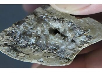 146,000-year-old Ice Age humans used advanced stone tools for butchery and survival