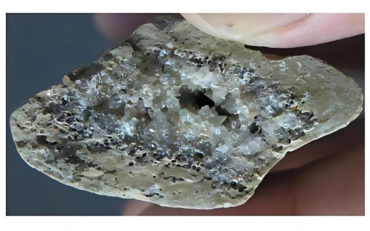 146,000-year-old Ice Age humans used advanced stone tools for butchery and survival