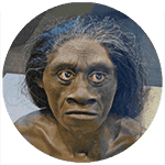 Homo floresiensis