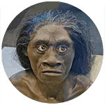 Homo floresiensis