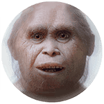 Homo juluensis