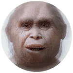 Homo juluensis