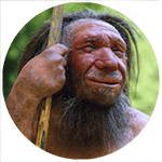 Homo neanderthalensis