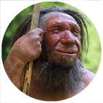 Homo neanderthalensis