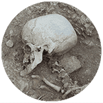 Osteoarchaeology