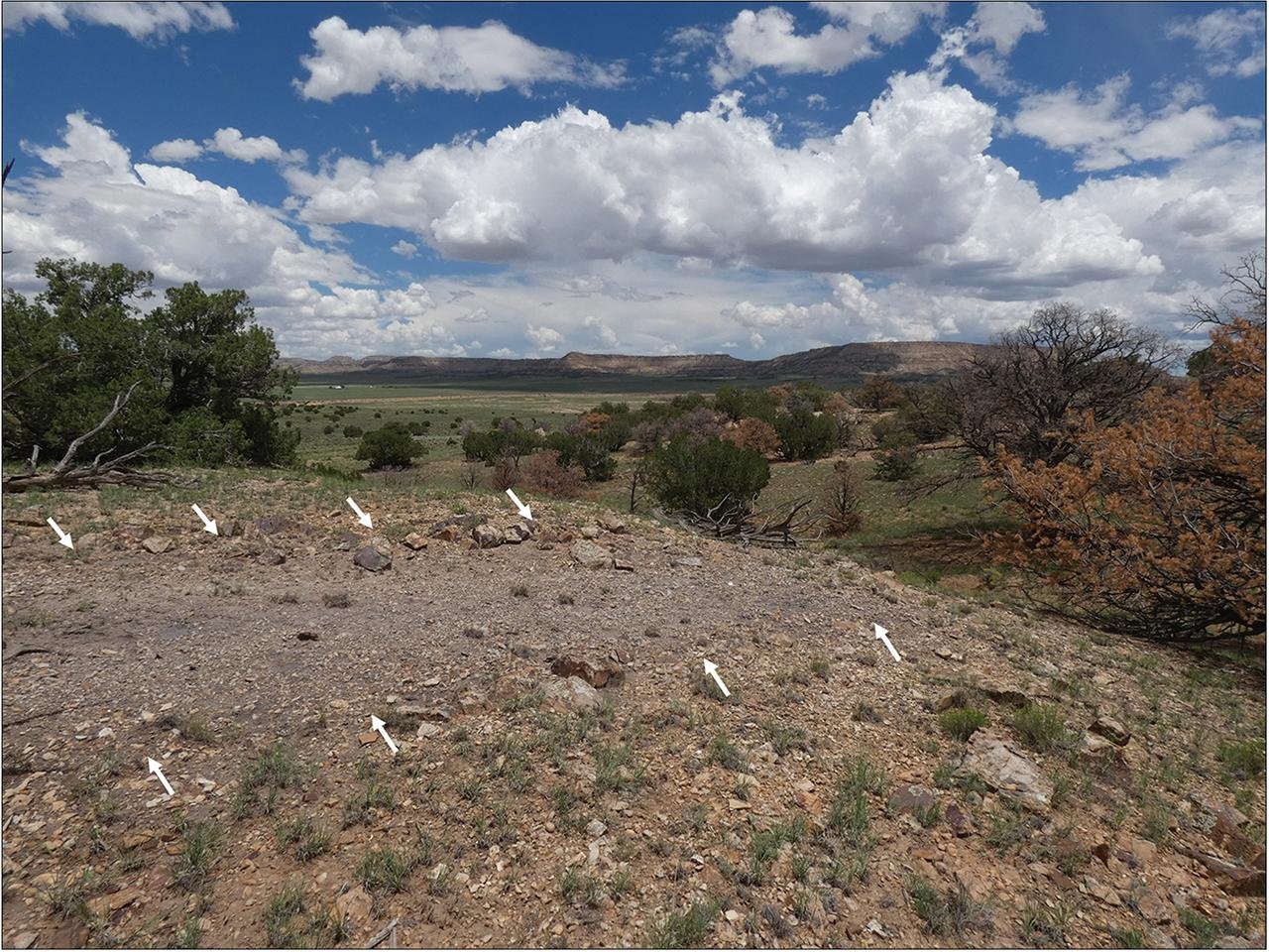 Lasers reveal 1,000-year-old Indigenous road near Chaco Canyon aligned with winter solstice