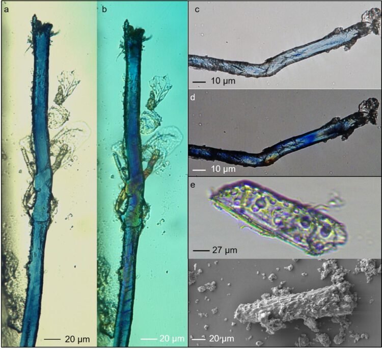 Ancient blue: 34,000-year-old traces of indigo found in Georgian cave