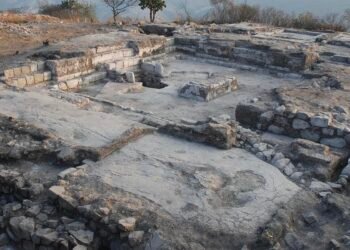 New study reveals wealth inequality was never inevitable