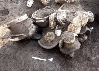 Vast Iron Age necropolis uncovered in Italy
