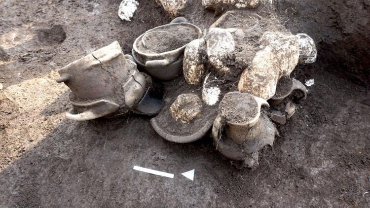Vast Iron Age necropolis uncovered in Italy