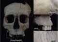 Iron Age severed head ritual identified among new Iberian groups in Spain
