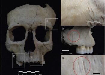 Iron Age severed head ritual identified among new Iberian groups in Spain