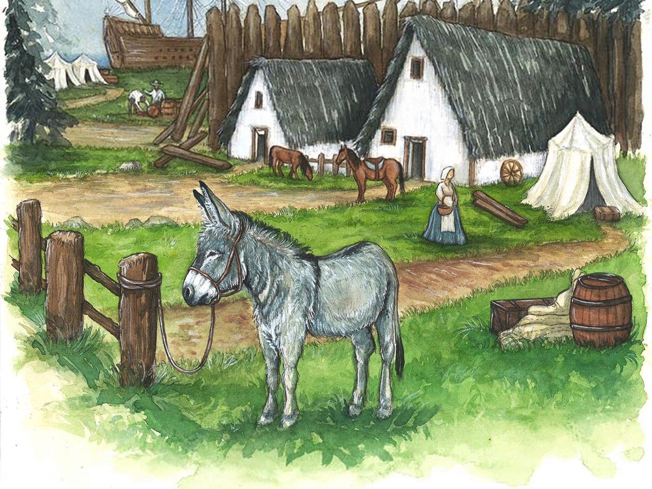 Donkey bones reveal Jamestown colonists brought donkeys to North America