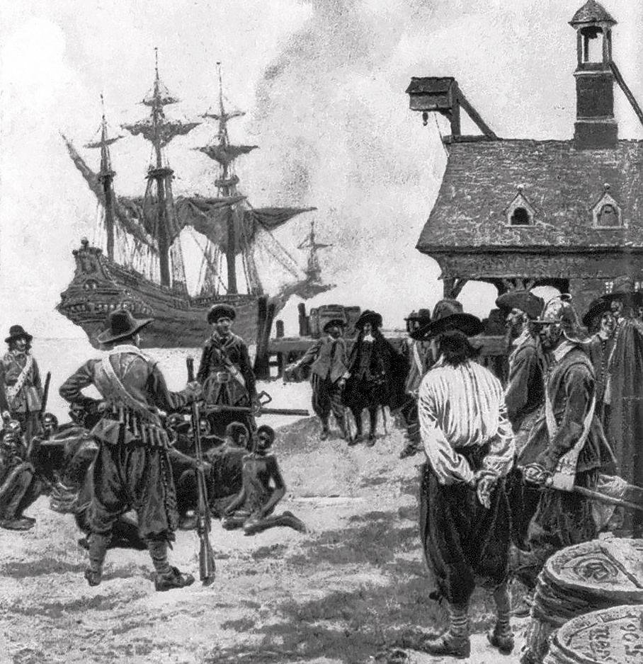 Donkey bones reveal Jamestown colonists brought donkeys to North America
