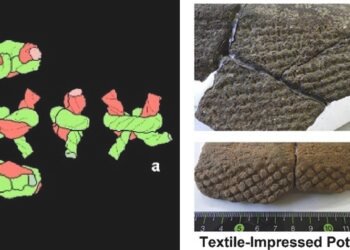 Hidden in pottery: ancient Japanese fishing nets resurrected with X-ray CT scans