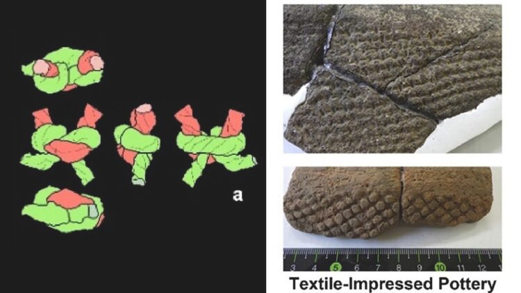 Hidden in pottery: ancient Japanese fishing nets resurrected with X-ray CT scans
