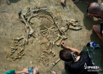 4-million-year-old juvenile tapir skeleton unearthed in Spain is the most complete ever found in Europe