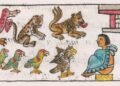 New study finds evidence that Aztec King Moctezuma kept a zoo for ritual purposes