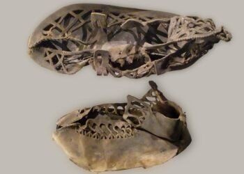 Exploring the secrets of the Roman Empire’s leather economy
