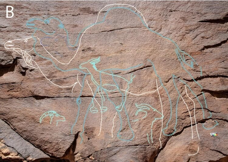 Ancient life-size rock art in Saudi Arabia reveals earliest human presence and desert oases
