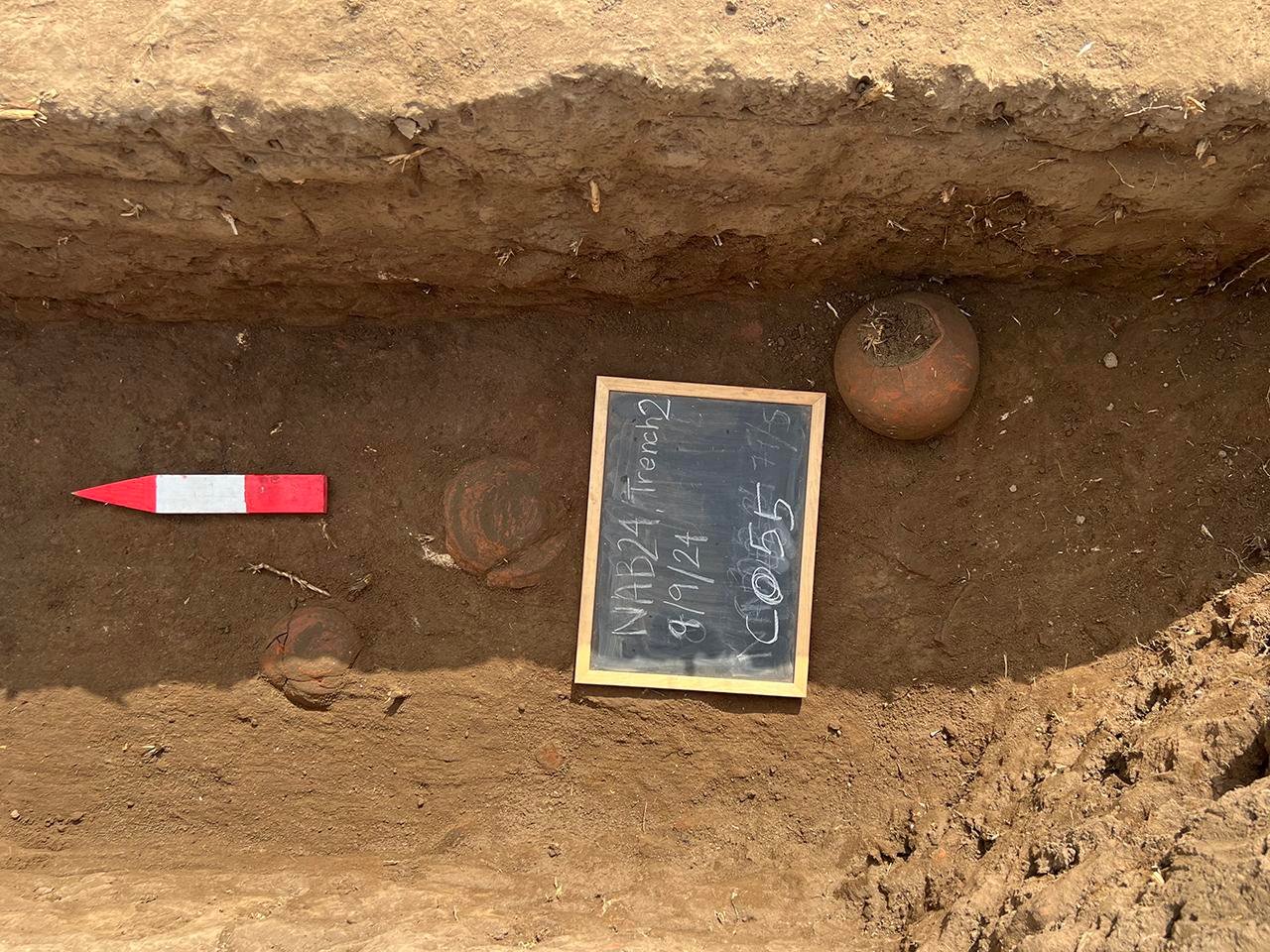 British archaeologists uncover lost Egyptian city of Imet with rare tower houses and temple to cobra goddess Wadjet