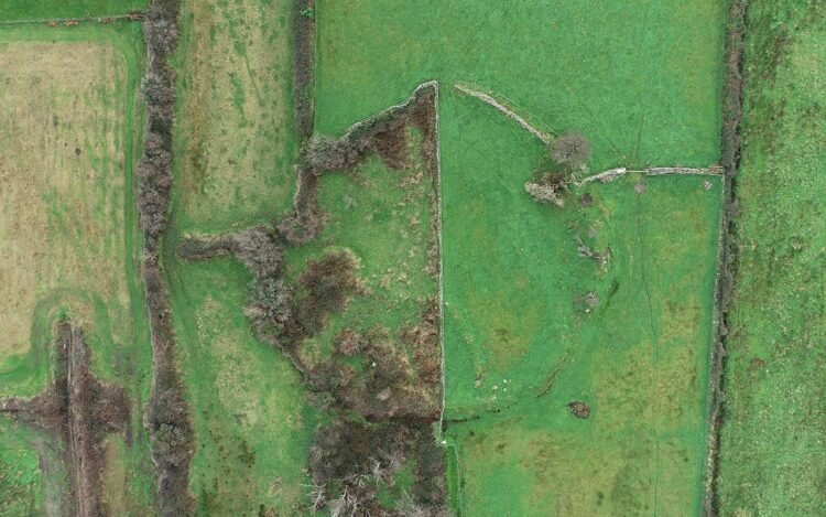 Lost infant burial grounds in Ireland rediscovered through folklore and archaeology study