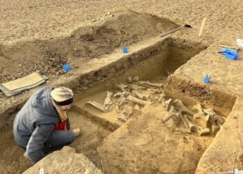 25,000-year-old mammoth bone site discovered in Lower Austria