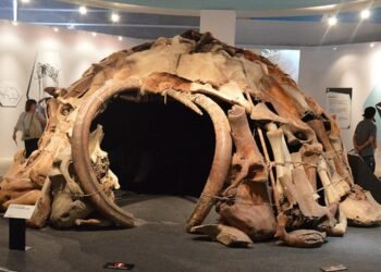 Ice Age hunters built mammoth-bone shelters in Ukraine, new study reveals precise timeline
