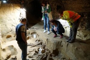 40,000-year-old mammoth bones discovered in wine cellar