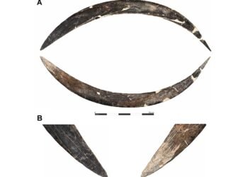 40,000-year-old mammoth tusk boomerang found in Poland may be the oldest in the world