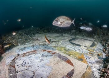 Marvelous marble floor of sunken Roman villa discovered and restored underwater in Italy