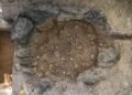 massive jar in Laos contained remains of 37 people, revealing ancient burial rituals and Asian trade links