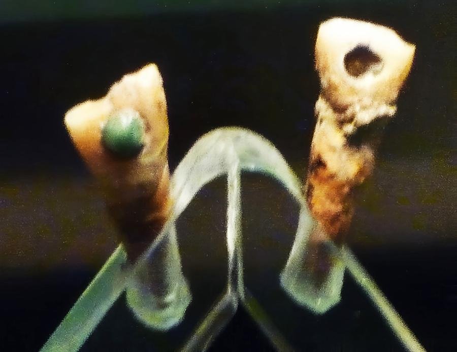 Maya children’s teeth with jade inlays reveal rare ancient practice, study finds