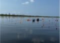 Submerged Maya salt-making compound in Belize reveals the lives of ancient salt producers