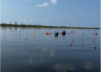 Submerged Maya salt-making compound in Belize reveals the lives of ancient salt producers