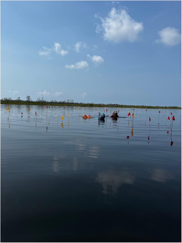 Submerged Maya salt-making compound in Belize reveals the lives of ancient salt producers