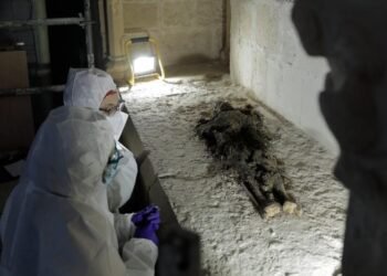 Human remains of medieval Catalan nobility unearthed in Santes Creus Monastery