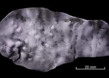 Archaeologists unearth rare medieval curse tablet in Rostock, Germany