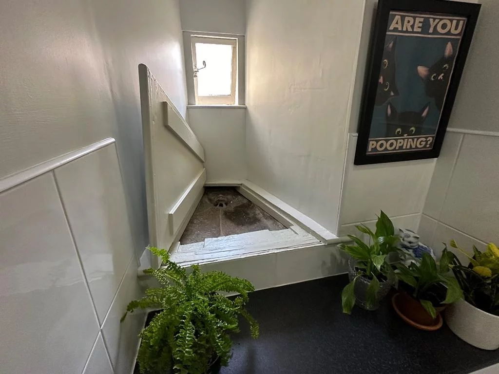 Couple find medieval imp under toilet trap door
