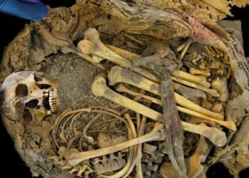 1,000-year-old Mesoamerican mummy from Mexico reveals ancient human gut microbiome