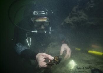 Archaeologists explore Europe's key Mesolithic site of Bouldnor Cliff