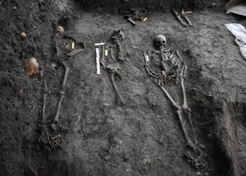 Medieval bone study identifies microbial communities driving archaeological bone degradation and preservation